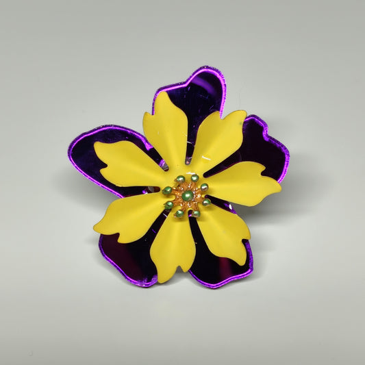 Anillo Jaune Et Violet